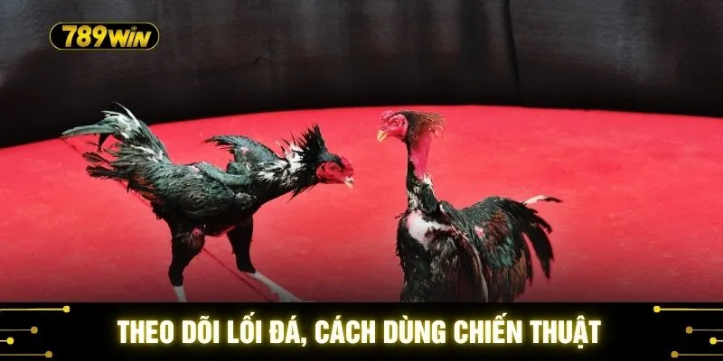 Theo dõi lối đá, cách dùng chiến thuật